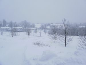 Verschneiter Talblick im Nebel